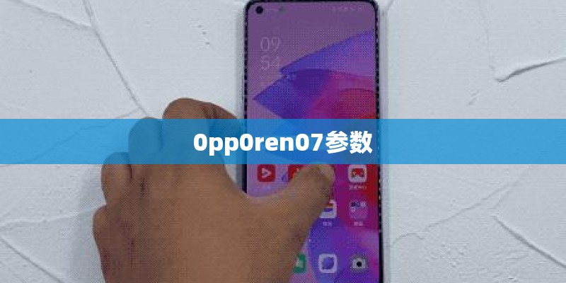 0pp0ren07参数