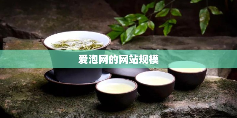 爱泡网的网站规模 爱泡网的网站规模