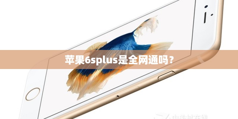 苹果6splus是全网通吗？