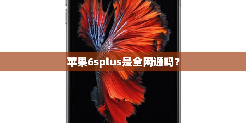 苹果6splus是全网通吗？