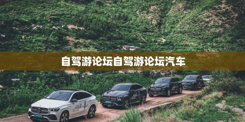 自驾游论坛自驾游论坛汽车