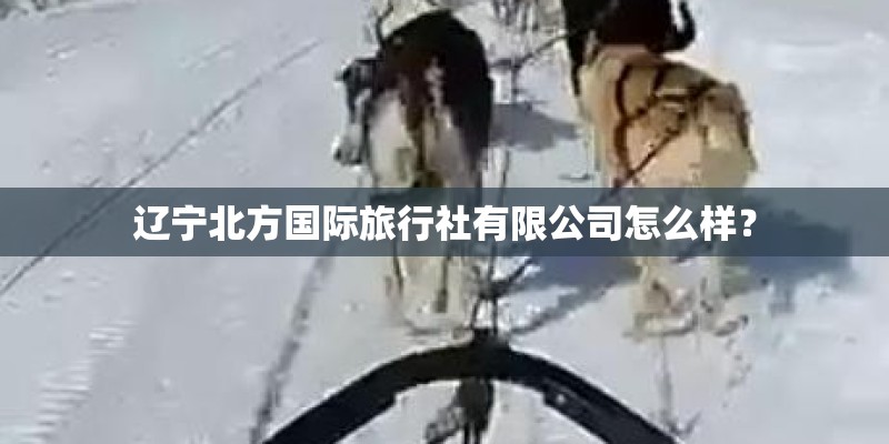 辽宁北方国际旅行社有限公司怎么样？