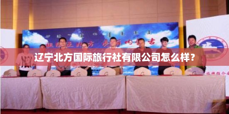 辽宁北方国际旅行社有限公司怎么样？