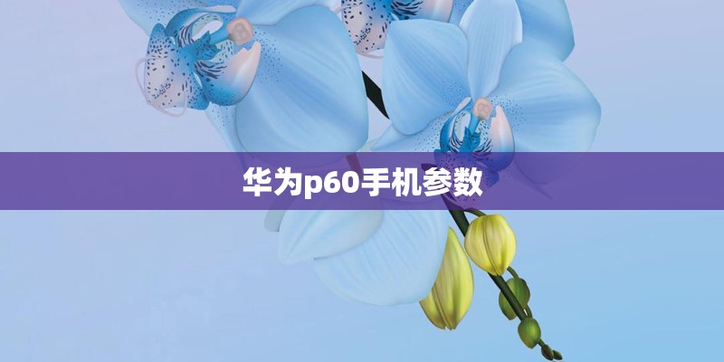 华为p60手机参数