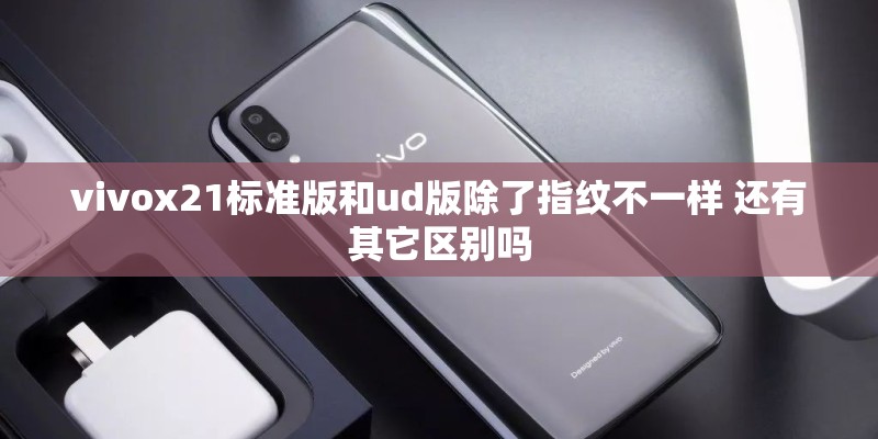 vivox21标准版和ud版除了指纹不一样 还有其它区别吗