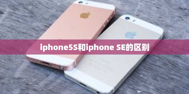 iphone5S和iphone SE的区别