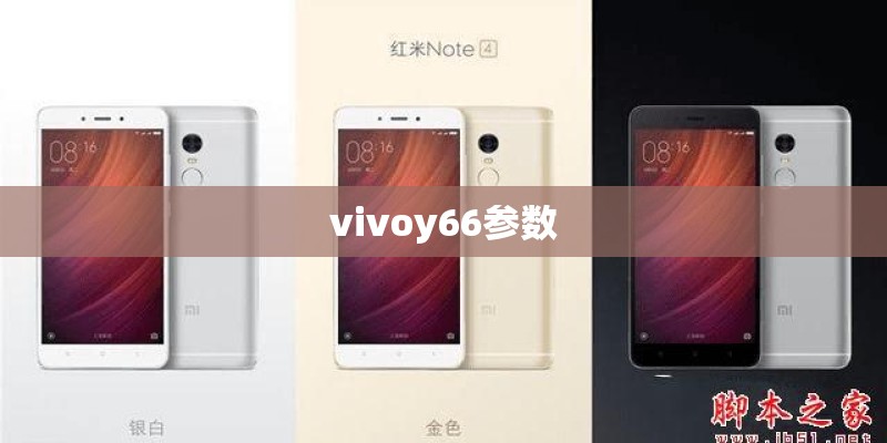 vivoy66参数 vivoy66参数
