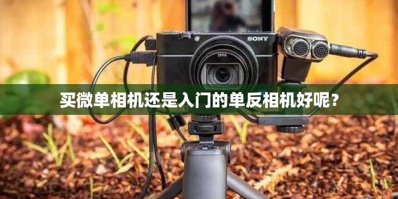 买微单相机还是入门的单反相机好呢？