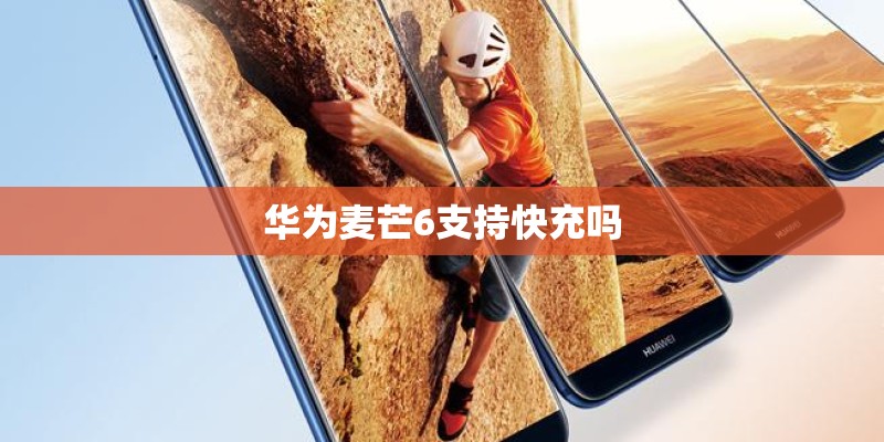 华为麦芒6支持快充吗