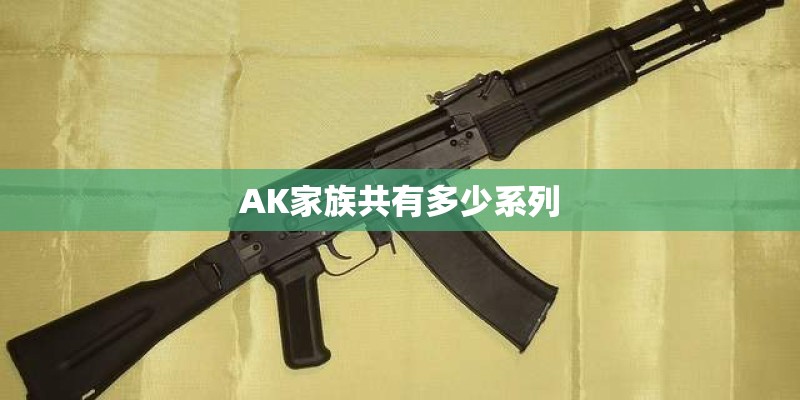 AK家族共有多少系列