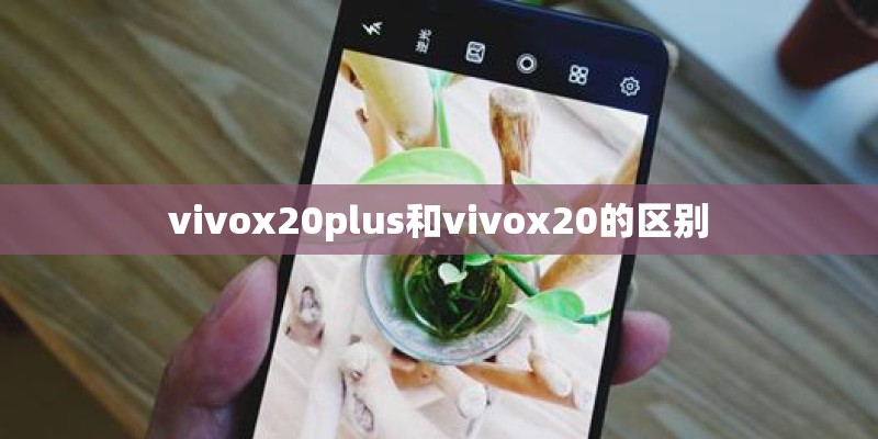 vivox20plus和vivox20的区别