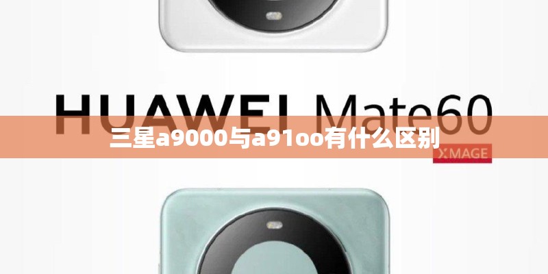 三星a9000与a91oo有什么区别 三星a9000与a91oo有什么区别