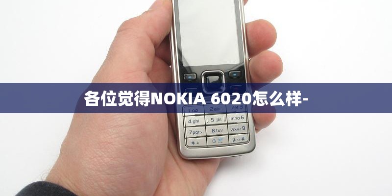 各位觉得NOKIA 6020怎么样- 各位觉得NOKIA 6020怎么样-