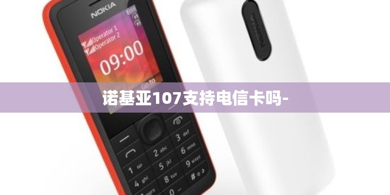 诺基亚107支持电信卡吗-