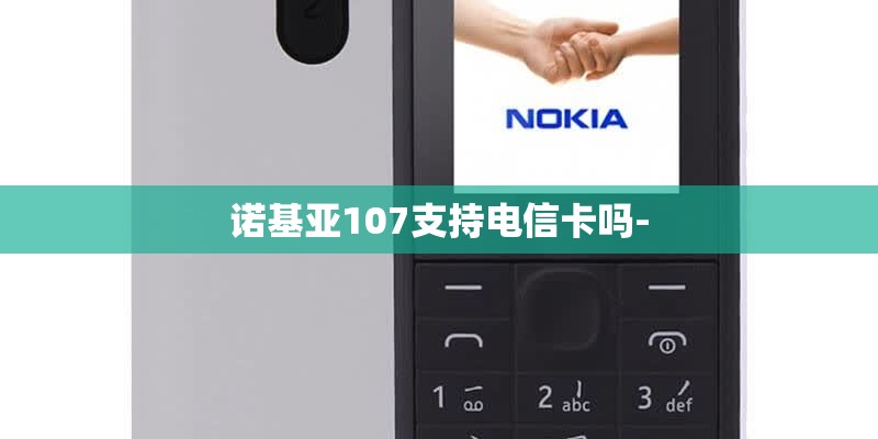 诺基亚107支持电信卡吗- 诺基亚107支持电信卡吗-