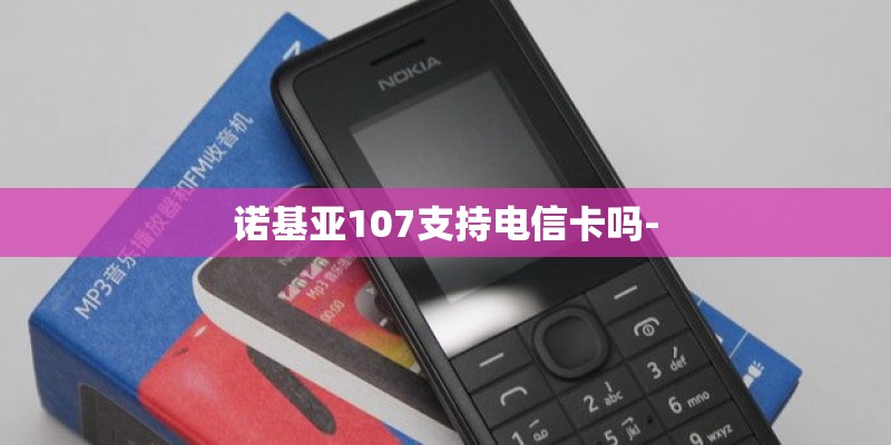 诺基亚107支持电信卡吗- 诺基亚107支持电信卡吗-