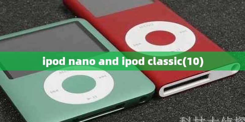ipod nano and ipod classic(10)