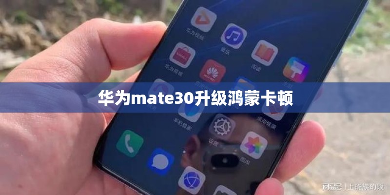 华为mate30升级鸿蒙卡顿