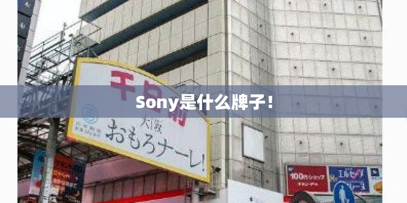 Sony是什么牌子！