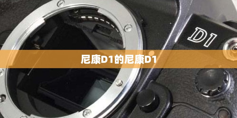 尼康D1的尼康D1