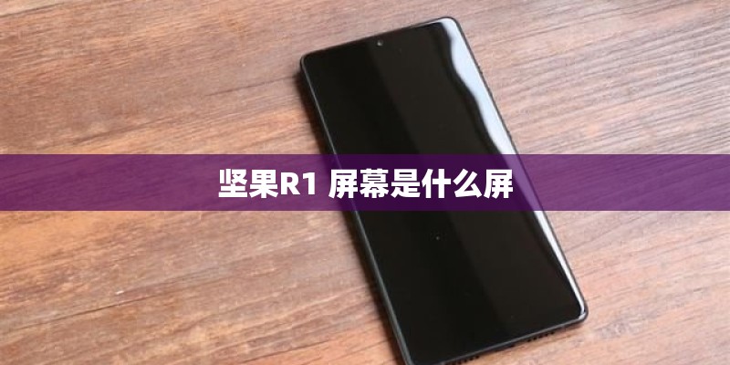 坚果R1 屏幕是什么屏