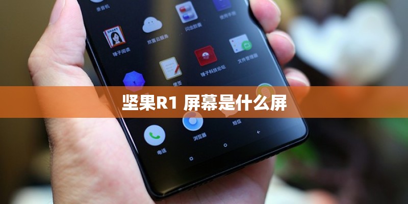 坚果R1 屏幕是什么屏