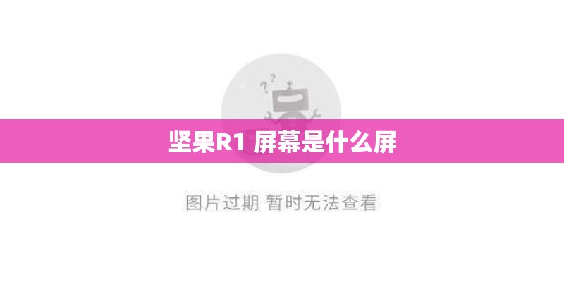 坚果R1 屏幕是什么屏