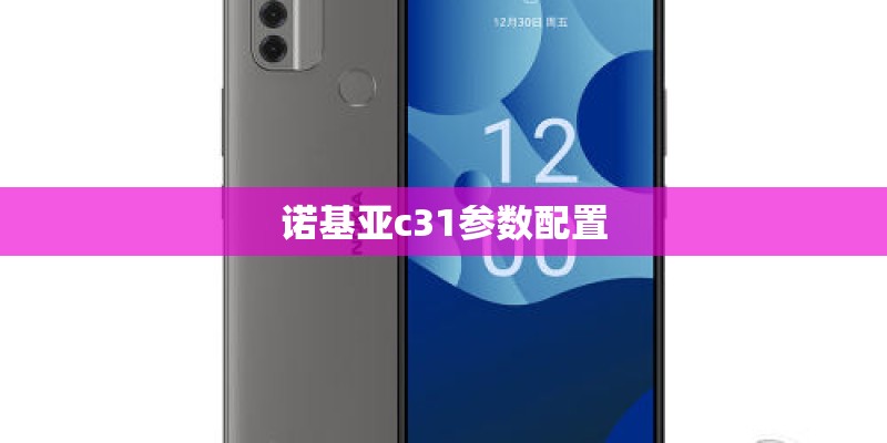 诺基亚c31参数配置
