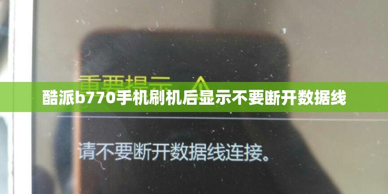 田汉大剧院简介