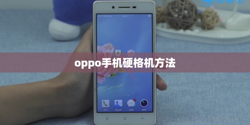 迷你牛毛水草能种花盆吗