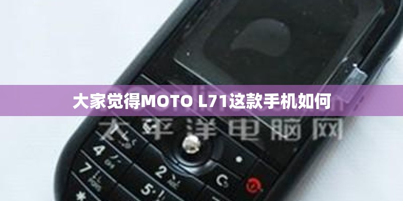 今日揭秘“福麻圈到底有没有挂”(透视挂教程)
