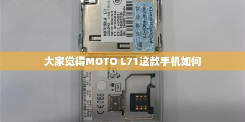 大家觉得MOTO L71这款手机如何