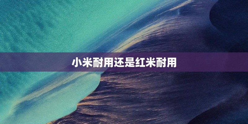 小米耐用还是红米耐用