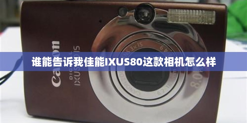 谁能告诉我佳能IXUS80这款相机怎么样