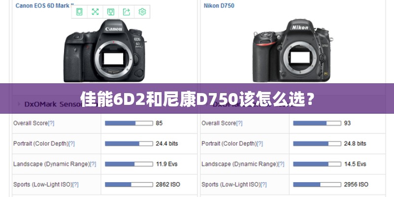 佳能6D2和尼康D750该怎么选? 佳能6D2和尼康D750该怎么选?