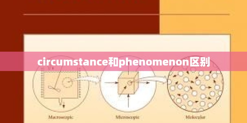 circumstance和phenomenon区别