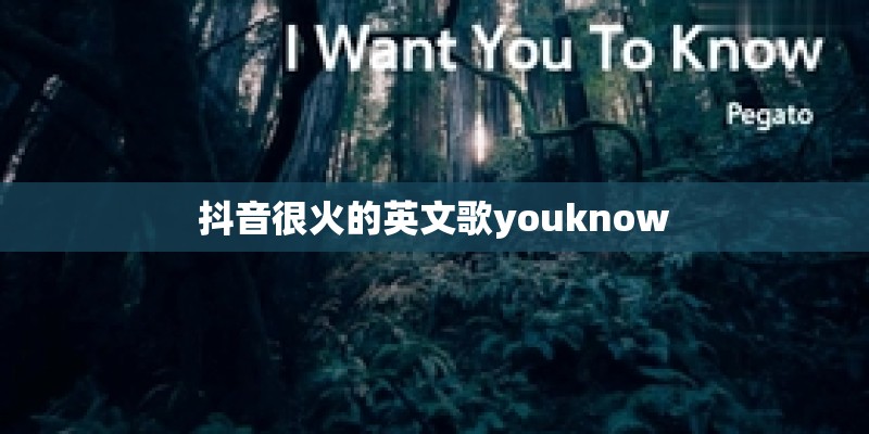 抖音很火的英文歌youknow
