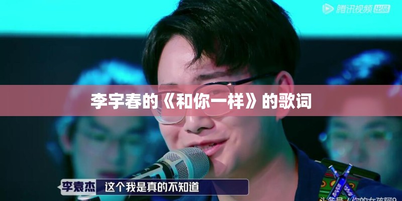 李宇春的《和你一样》的歌词