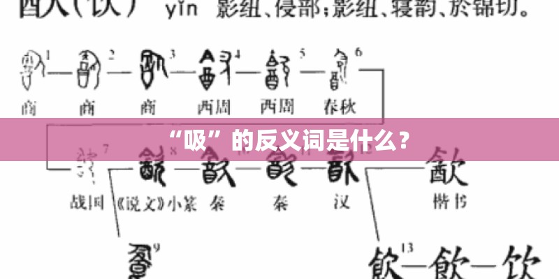 “吸”的反义词是什么？
