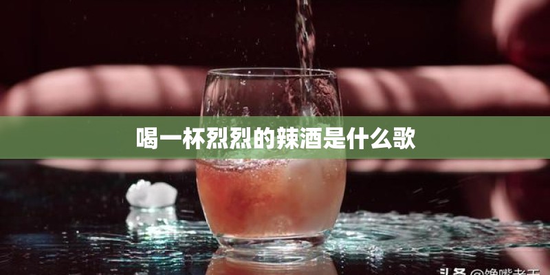 喝一杯烈烈的辣酒是什么歌