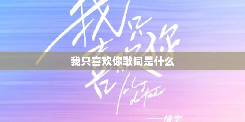 我只喜欢你歌词是什么