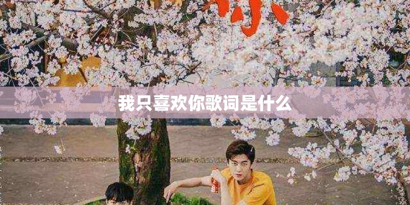 我只喜欢你歌词是什么