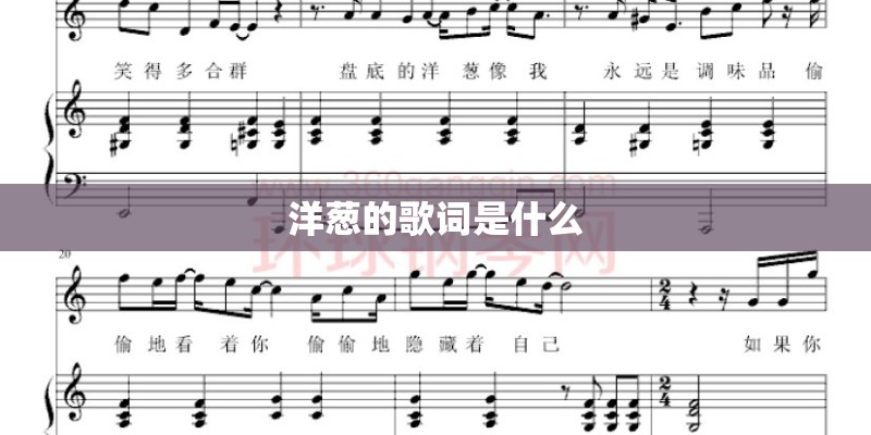 洋葱的歌词是什么