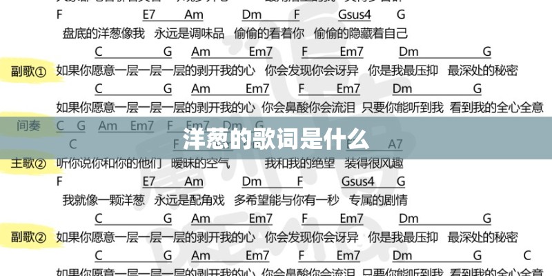 洋葱的歌词是什么