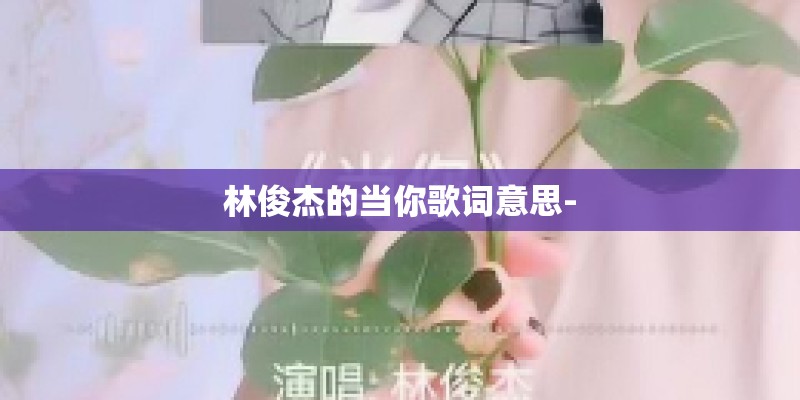 林俊杰的当你歌词意思-