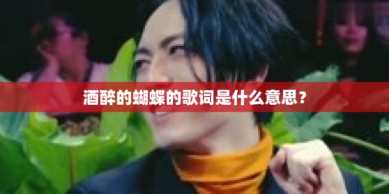 酒醉的蝴蝶的歌词是什么意思？